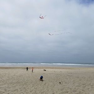 Meet your Posher, Yasmin